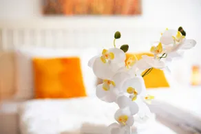 Appartamento Seelina a Perach – tranquillo, accogliente e immerso nella natura - Image 4