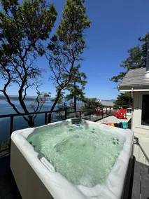 The Cottage over looking Salish Sea and occasional - Image 2