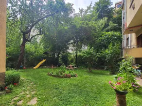 Central - Large and Cozy - Green Backyard - Image 5