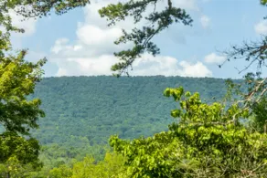 Mystic Mountain - 3BR Family Retreat! - Image 3