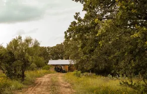 Evergreen Tent at Hilla Ranch Glamping - Image 3