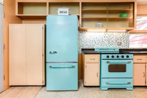 Retro 1950s Estate w Hot Tub Near Indiana Dunes - Image 4