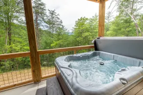 Away From It All | Theater Room + Arcade + Hot Tub - Image 3