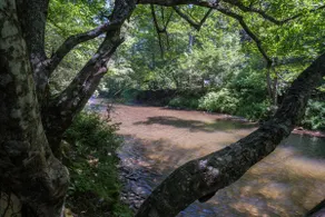 Riverfront Fishing Cabin on the French Broad River - Image 5
