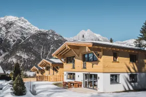 Modern Alpine chalet with fireplace - Image 2