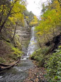 ”State Park Vibe” Retreat w/ 80 foot Waterfall - Image 2