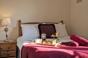 Zoe's Cottage - 5 mins drive to Alton - Alpaca's! - Image 4