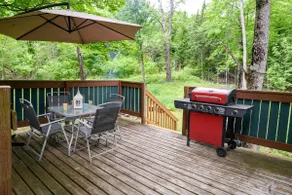 Woodsy Summer Retreat with Patio & BBQ Grill - Image 5