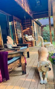 Near Lake Michigan-Hot Tub/Sauna/Game Rm/Fire Pit - Image 4