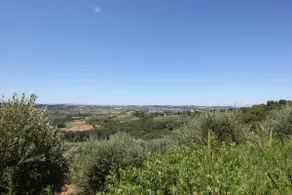 Villa Poggio La Leona - Image 4