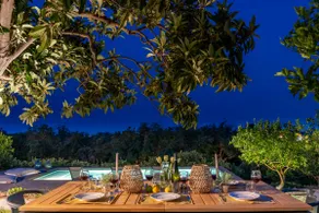 Avocado Garden - Image 4