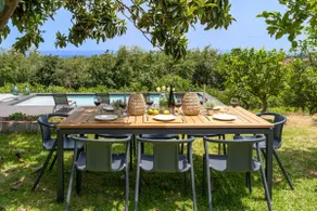 Avocado Garden - Image 5