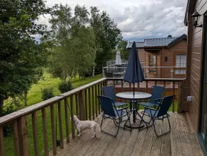 Pet Friendly - Lodge at Riverview Holiday Park - Image 3