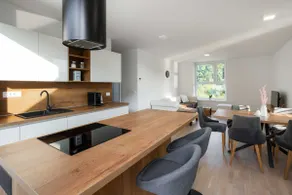 Two Bedroom Apartment with Terrace in Podčetrtek - Image 3