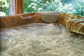Fun Luxury Lodge Sleeping 25: Hot Tub, 16 Acres - Image 4