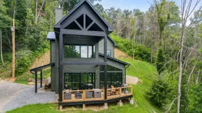 Pet-Friendly Luxury + Biltmore Pass Near Maggie - Image 3