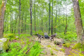 Deck & Fire Pit: Pet-friendly Pocono Lake Abode! - Image 2