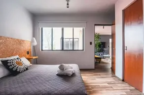 Perfect Location right next to Bosque Chapultepec - Image 2