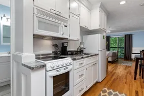 Timbers Studio 43 With Wintergreen Advantage - Image 3