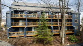 Timbers Studio 43 With Wintergreen Advantage - Image 5