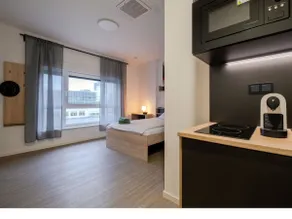 Appartement-Mehrbett-Zimmer-Salle de bain privée - Image 5