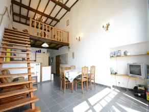 Vintage home with pets - Image 3