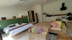 Loft with sauna overlooking park and animals near the sea - Image 5