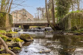 Birdsong Cottage - North East Escapes - Image 5