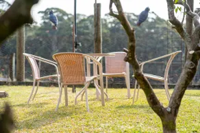 Peaceful Family Retreat: 5 mins to Beach - Image 3