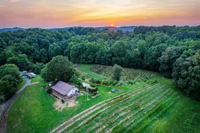 Working Vineyard W/ Cozy, Pool Table, Fire Pit - Image 3