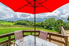 Working Vineyard W/ Cozy, Pool Table, Fire Pit - Image 5