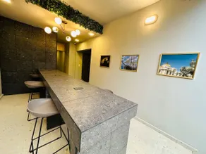 Polanco AAA Executive Suite with Lots of Light - Image 5