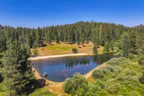 California Mountain Cabin w/ Lake Access & Deck! - Image 2