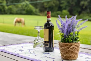 Appartamento 'Brunnerhof Vacanze in Campagna' con Terrazza e Giardino Comune - Image 3