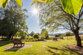 Scenic Eifel Studio I Sauna I Views I Terrace - Image 4
