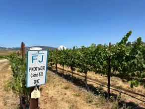 Escape to 3 Dogs Whining: Your Vineyard Retreat - Image 5