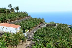 Casa Rural La Cuadra - Image 2
