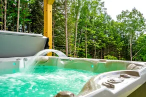 Birch Mountain Cabin| EV Charger-Slps12! HotTub! - Image 3