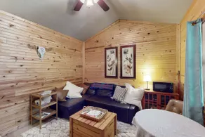 Serene & Secluded Paige Cabin: Dogs Welcome! - Image 2
