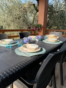 Provençal Villa in Olive Grove · 30 min from Rome - Image 3