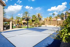 The Pickle Palm Pool Spa Pickleball Playset - Image 2