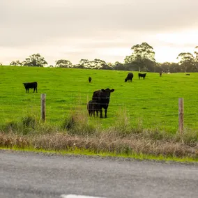Farm Stay, Close to Wineries, Modern, Luxury - Image 3