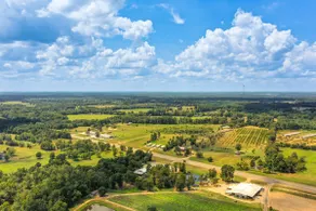 Horses Welcome: Pittsburg Home Near Wineries! - Image 2