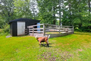 Peaceful Brookside Getaway ~10 Mi to Okemo Slopes! - Image 3