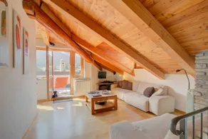 Sunny Penthouse with Mountain View - Happy Rentals - Image 5