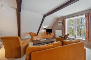 The owl's nest - Image 3