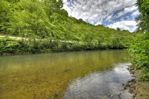 Ocoee Cottage Water Front - Image 5
