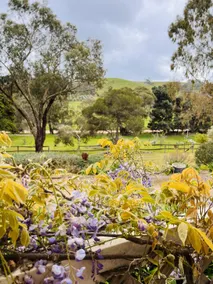 Yankalilla Foothills Retreat - Image 3
