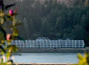 Harborview - Image 4