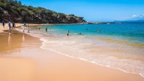 Ocean Views, Easy Walk To Beach and Bouddi National Park - Image 3